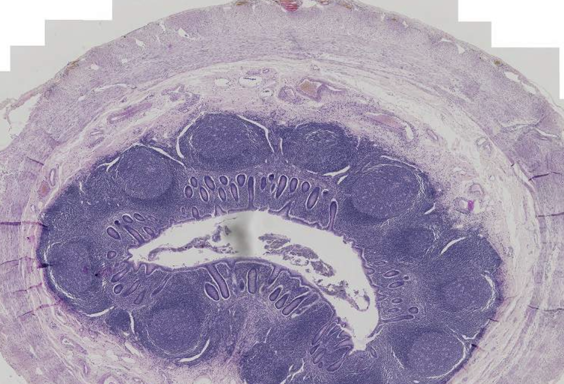 <p>What is this?</p>