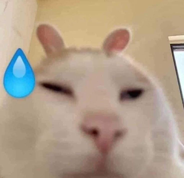 <p>What’s another class of drugs, not abx, that have been associated with C.diff?</p>