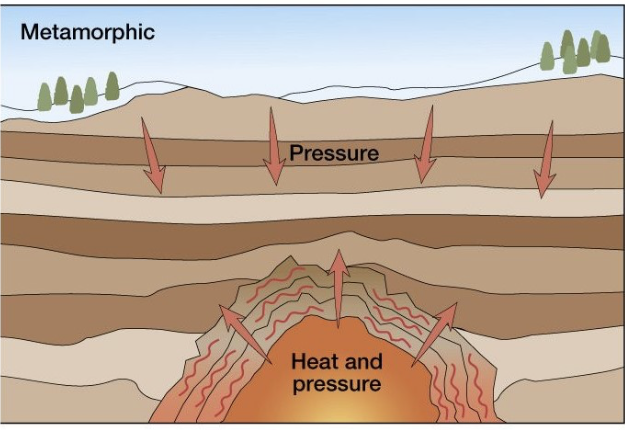 <p><span><strong>Metamorphic rocks</strong> are formed from other rocks</span></p><ul><li><p><span>Rocks have been pushed deep into the earth’s crust</span></p></li><li><p><span>Pressure from the earth above and heat from the mantle below cause them to change shape, color, grain and crystal structure</span></p></li></ul><p></p>