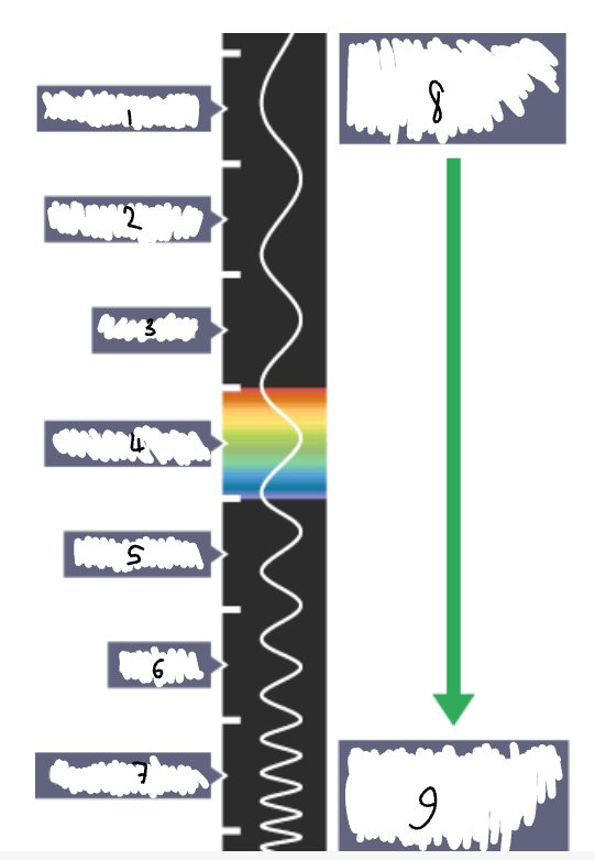 <p>What part of the electromagnetic spectrum is <strong>5</strong>?</p>