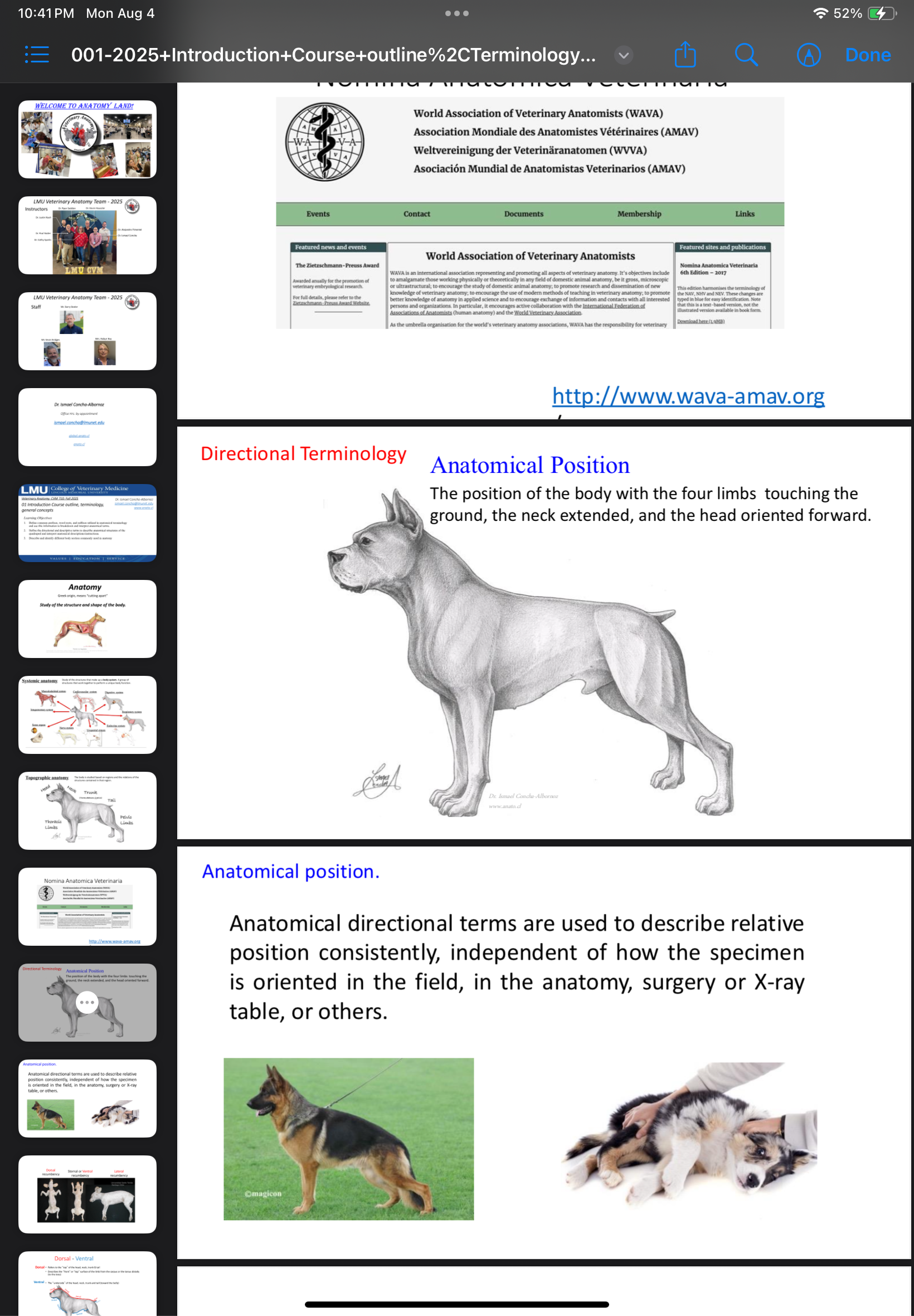 <p>Standard veterinary reference posture: four limbs weight-bearing, neck extended, head directed forward.</p>