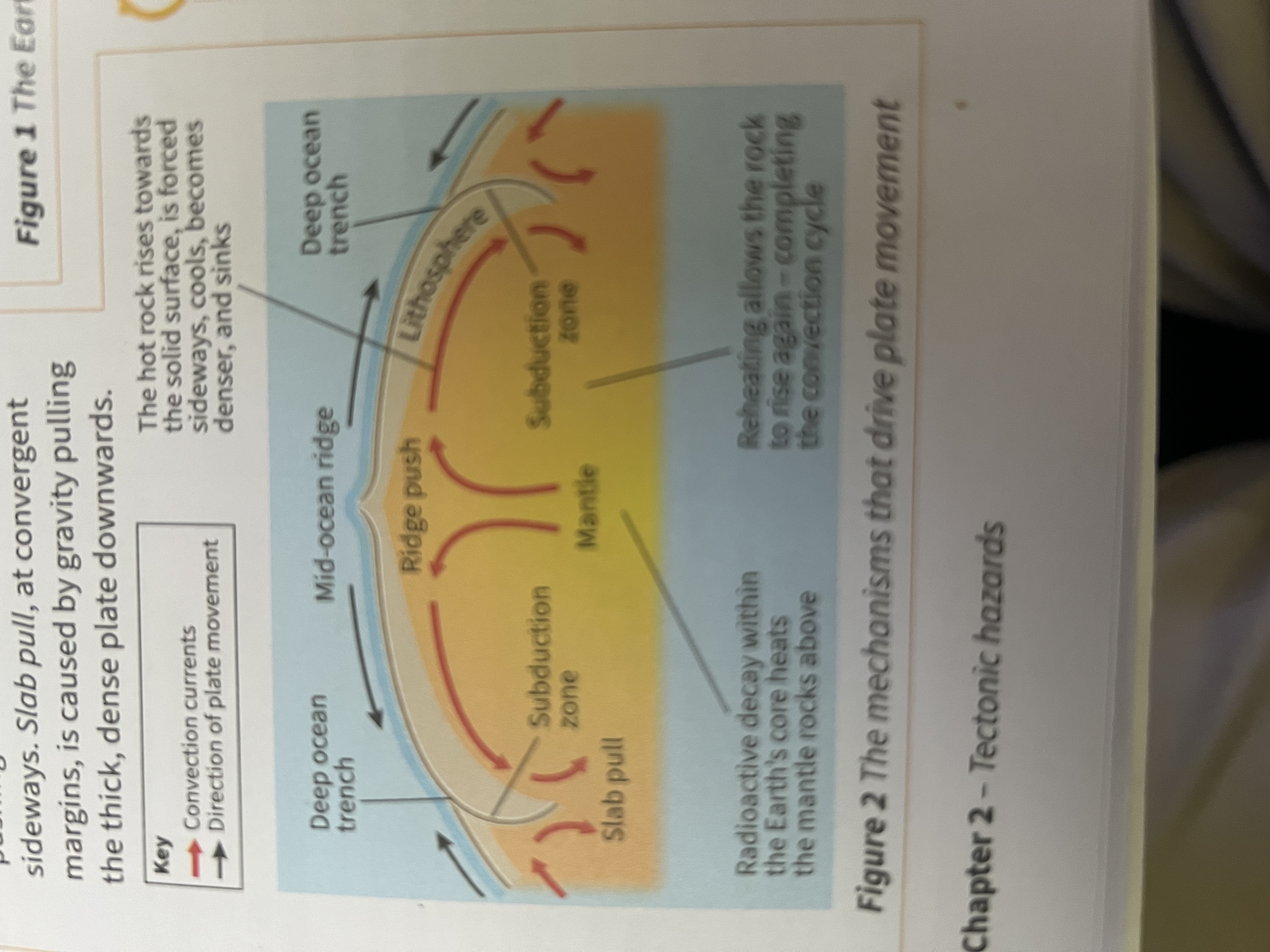 knowt flashcard image