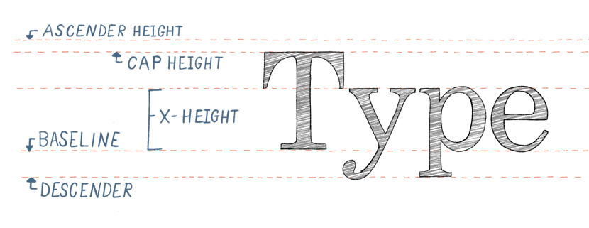 <p>Ex:</p><ul><li><p>bowl</p></li><li><p>Stem</p></li><li><p>Terminal</p></li><li><p>Title</p></li><li><p>Bracket</p></li><li><p>Serif</p></li><li><p>Closed counter</p></li><li><p>Open counter</p></li></ul><p></p>