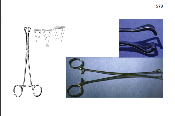 <p>Function: To grasp or encircle delicate tissue, such as intestines or uterus, without crushing or traumatizing it.</p>