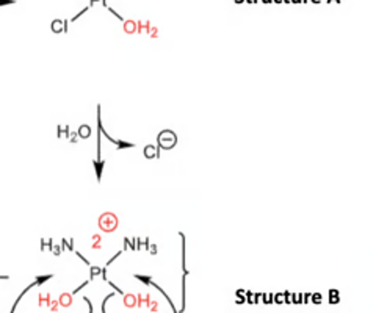 <p>Which structure shows diaquo-alkylated DNA by platinum agents?</p>