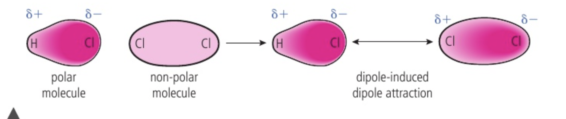 <p>mixture between polar and non polar molecules, the permanent dipole of a polar molecule can cause a temporary seperation of charge on a non polar molecule- force is dipole induced dipole attraction (suddenly because there are so many electrons on one side of a neighbouring molecule, the other side’s electrons will be repelled away and positive charge will be attracted to neighbouring molecule’s negative side)</p><p>acts in addition to london dispersion forces between non polar molecules and dipole dipole forces between polar molecules </p>