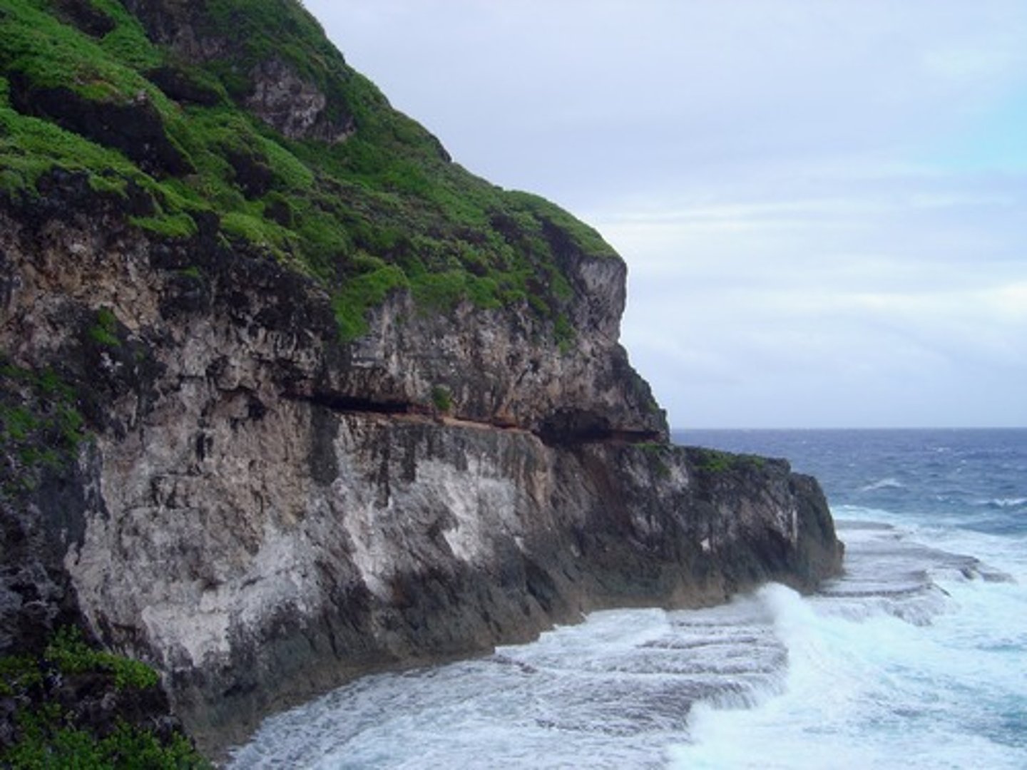 <p>formed when waves erode rock to produce steep slopes</p>
