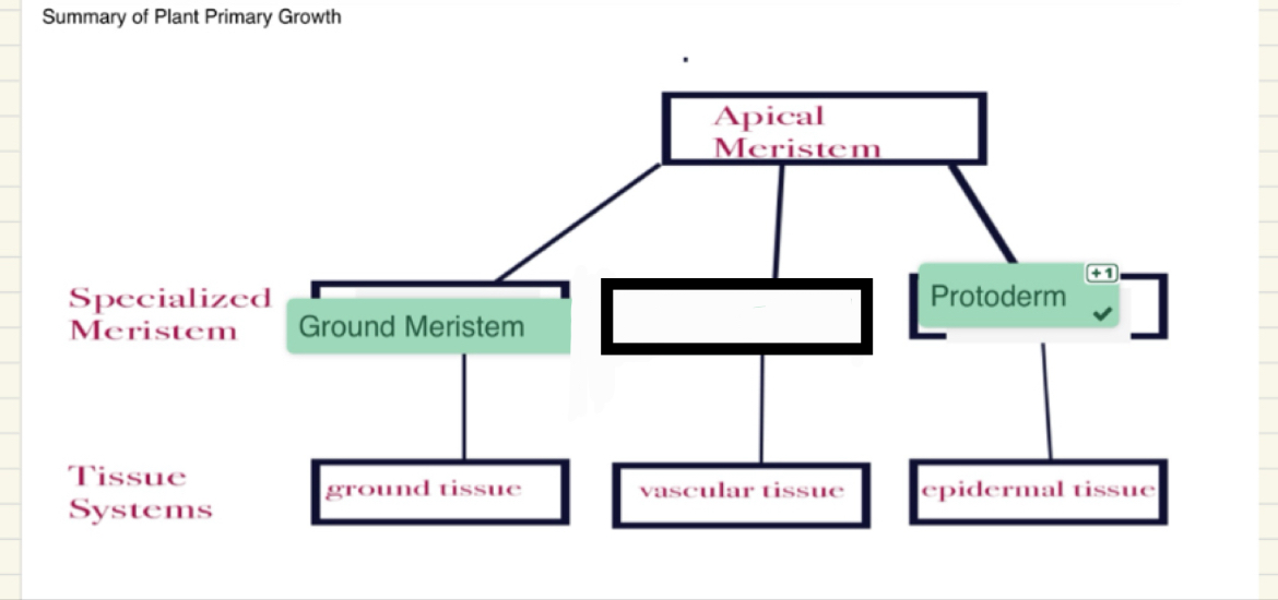 <p>What term is missing here?</p>