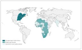 <p>Blastomyces dermatitidis </p>
