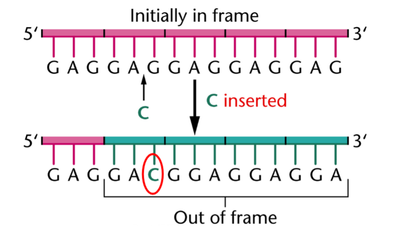 <p>what is this&nbsp;</p>