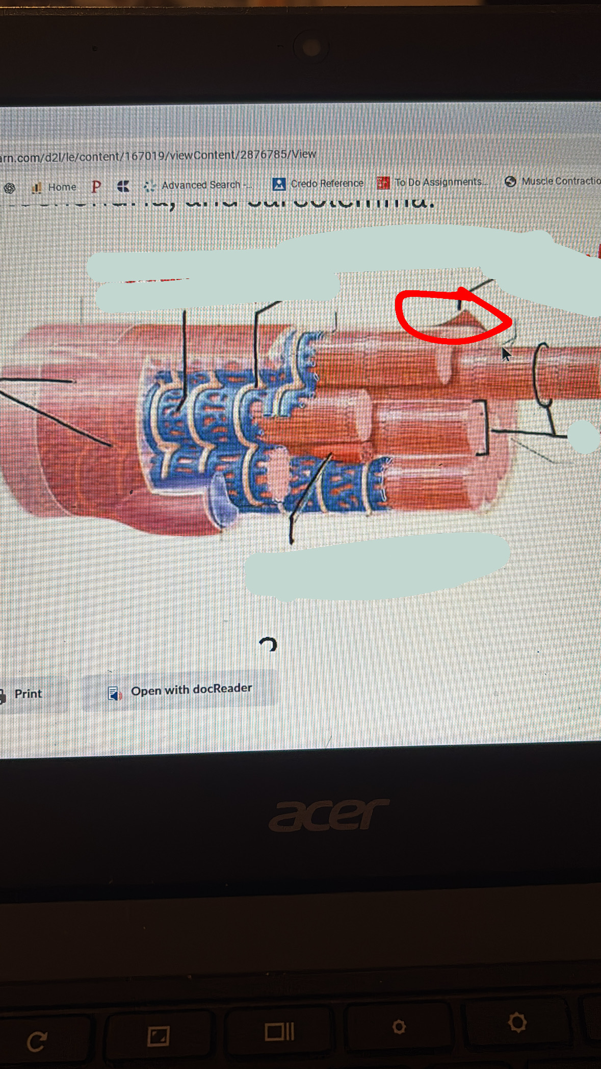 <p>cell membrane </p>
