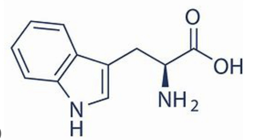 <p>What amino acid is this?</p>