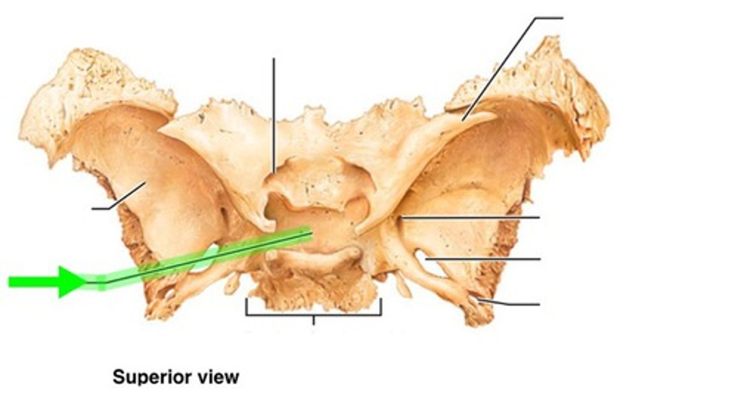 knowt flashcard image