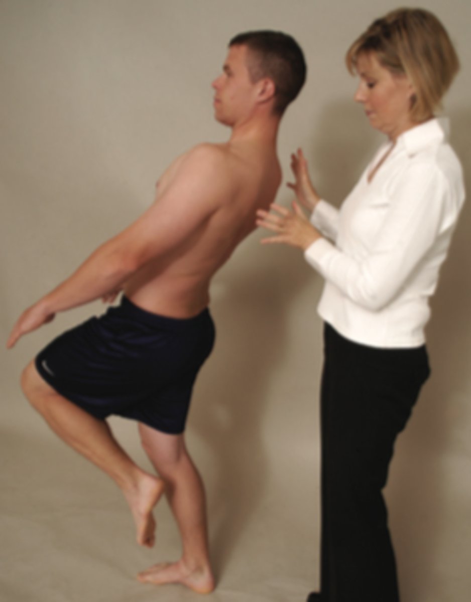 <p>identifies spondylolisthesis</p>