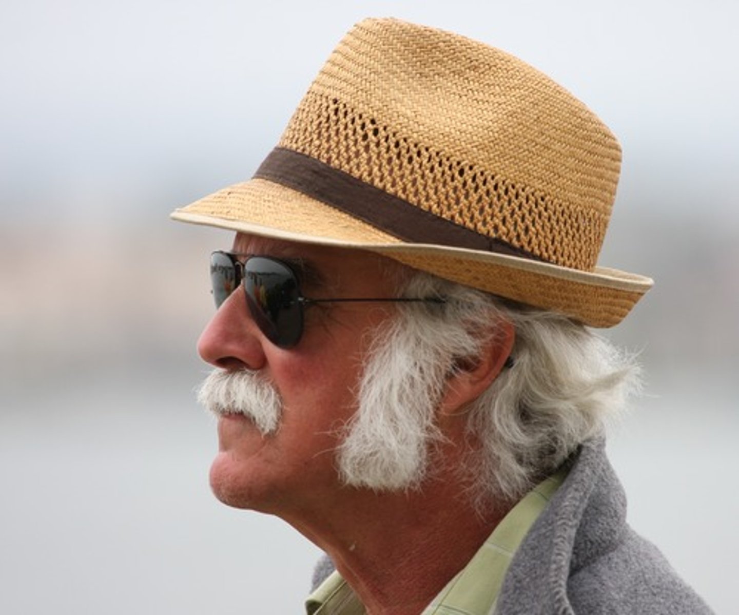 <p>to have sideburns</p>