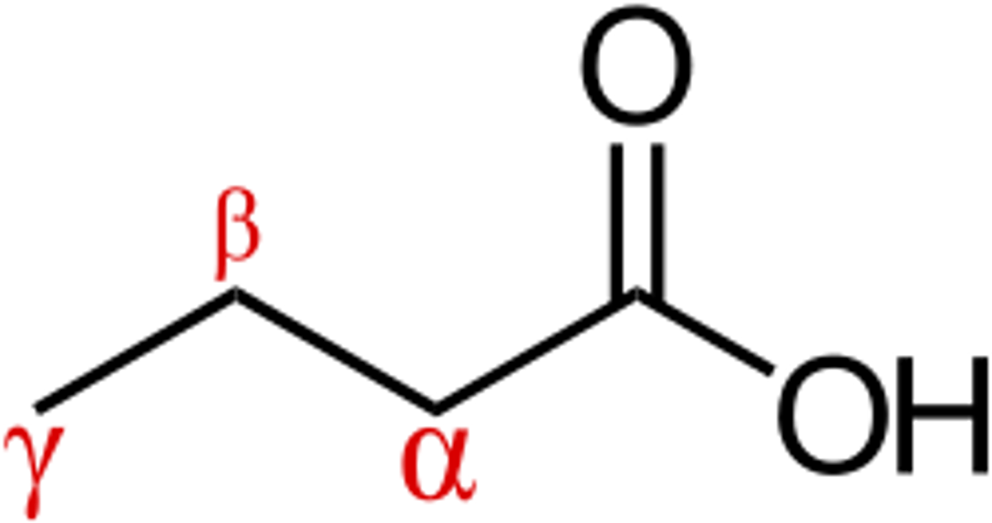 <p>ex: the carbons on both sides of a ketone group are alpha carbons</p>