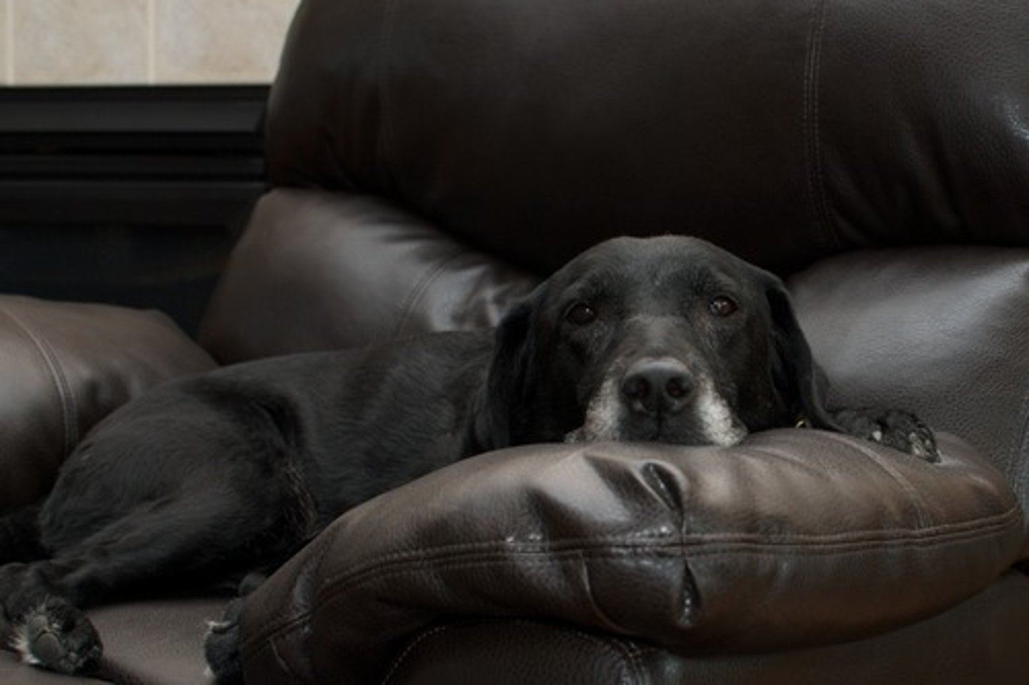 <p>comfortable</p>