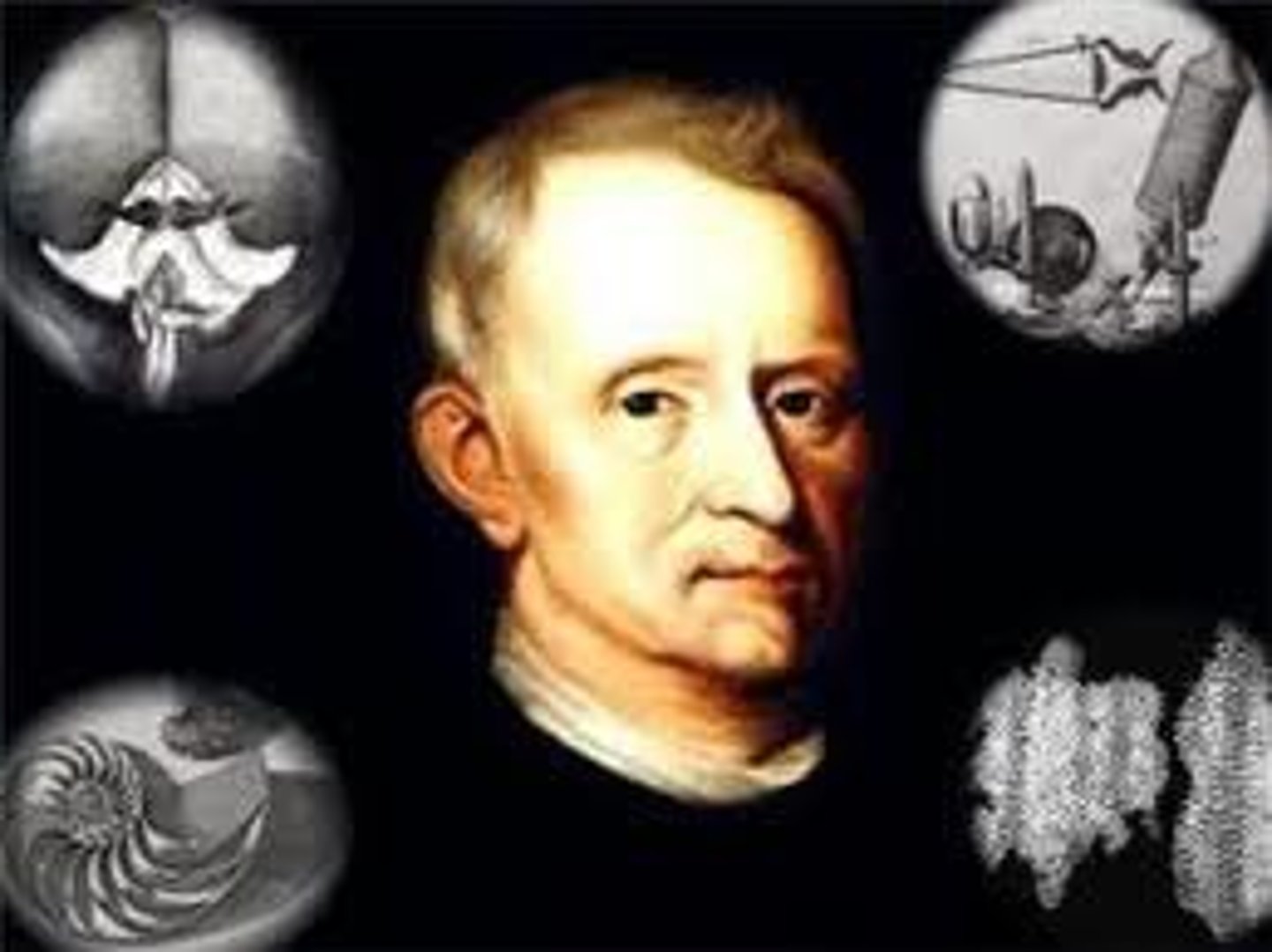 <p>-helped invented the compound light microscope</p><p>-published the first "micrographic" (microscopic picture)</p><p>-discovered and named cells</p>