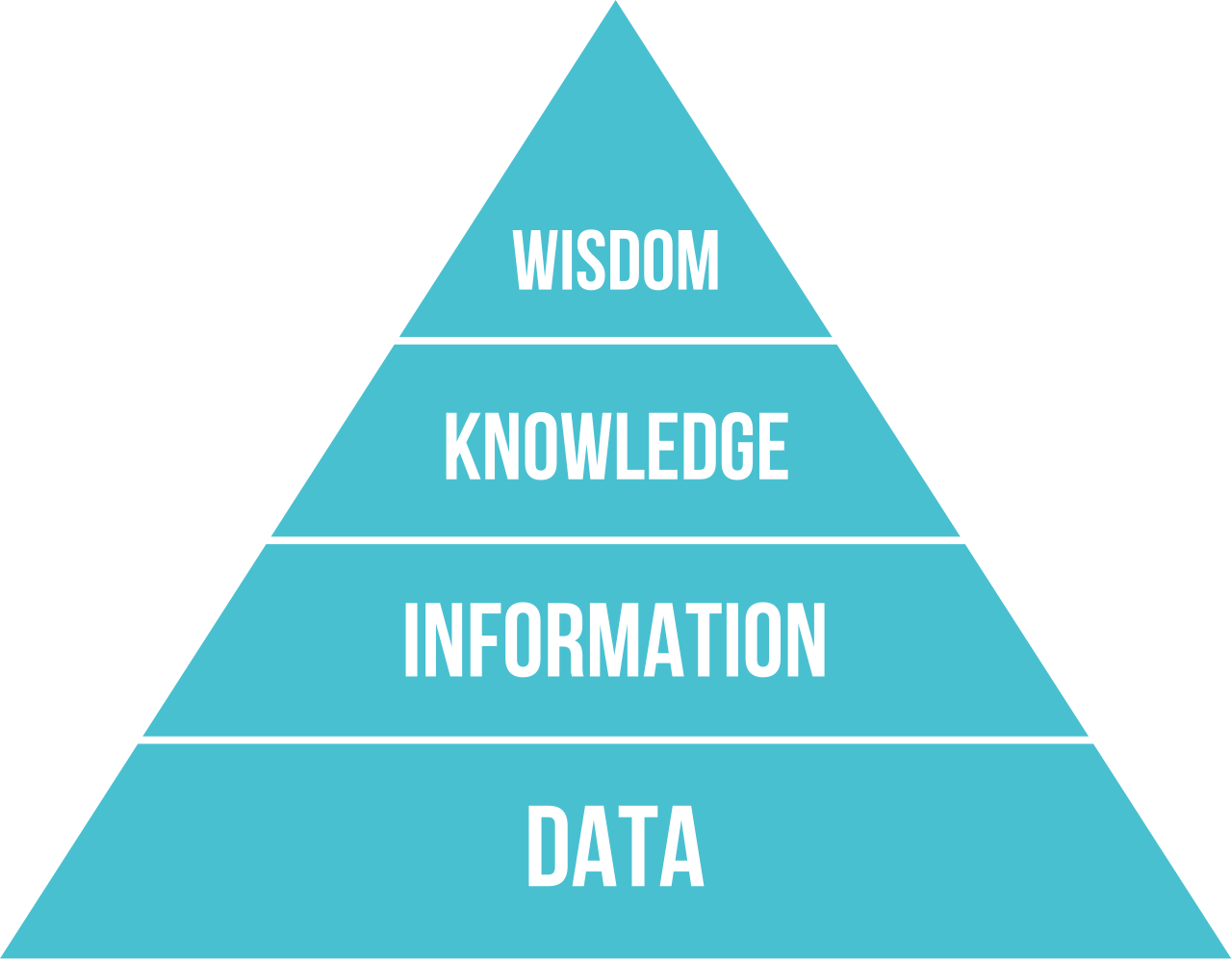 <p>helps us understand how raw facts become valuable insights </p>