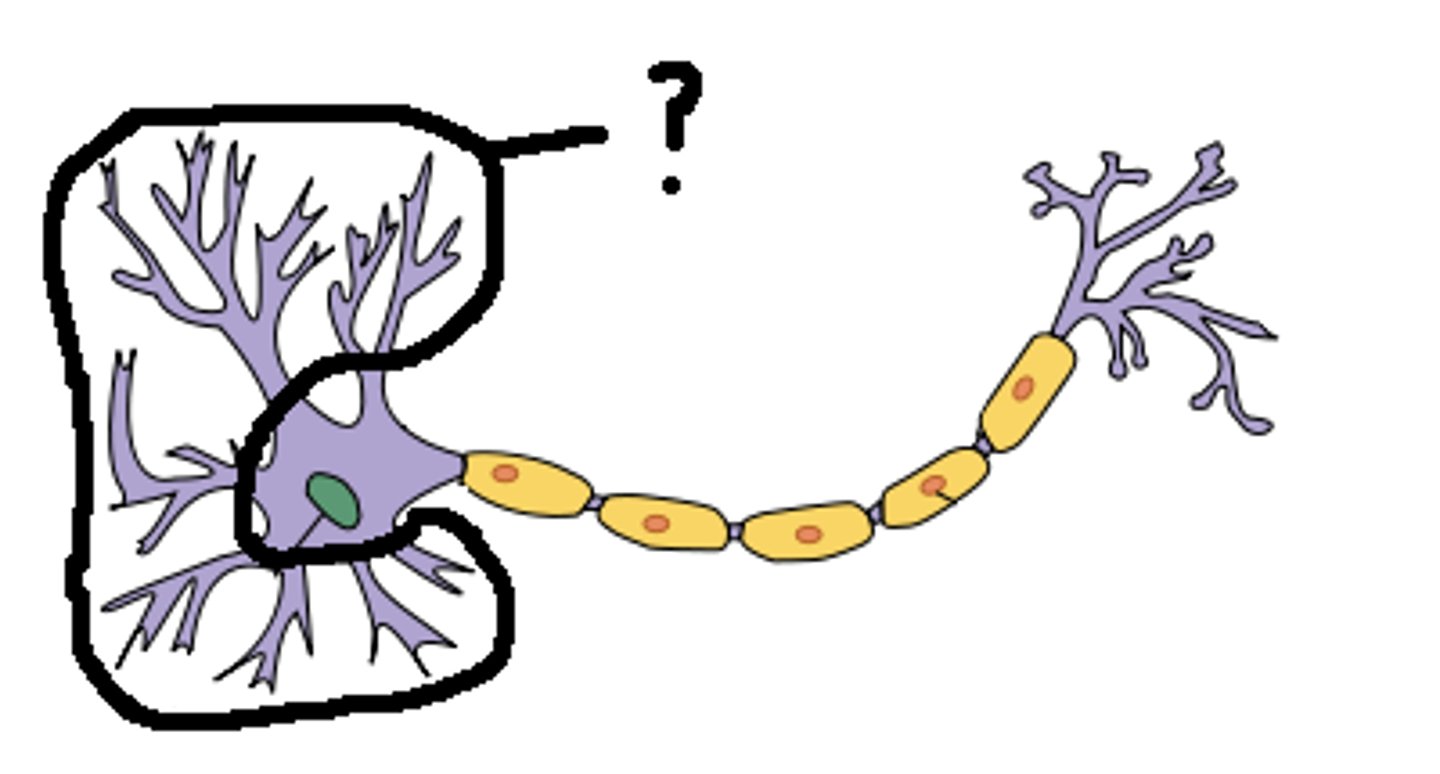 <p>tar emot inkommande signaler</p>