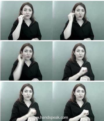 <p>Refer to Canvas “What’s the Sign?”</p>