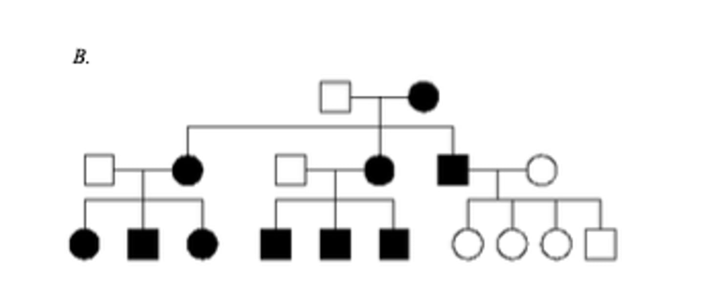 <p>The mutation is in mtDNA because it shows a maternal pattern of inheritance. Affected females have affected children and the affected male does not.</p>