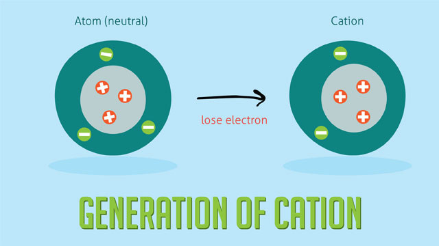 <p>Cation</p>