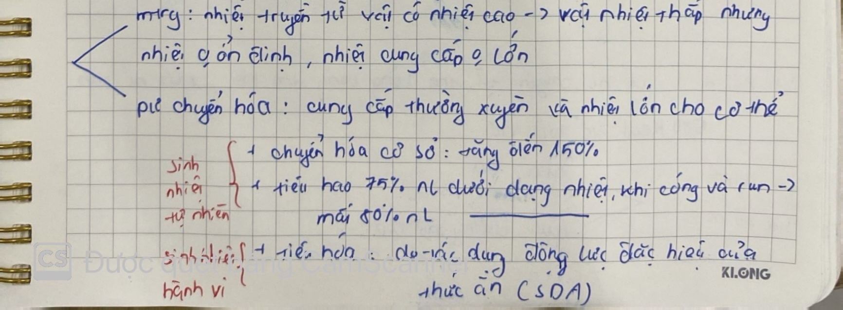 knowt flashcard image