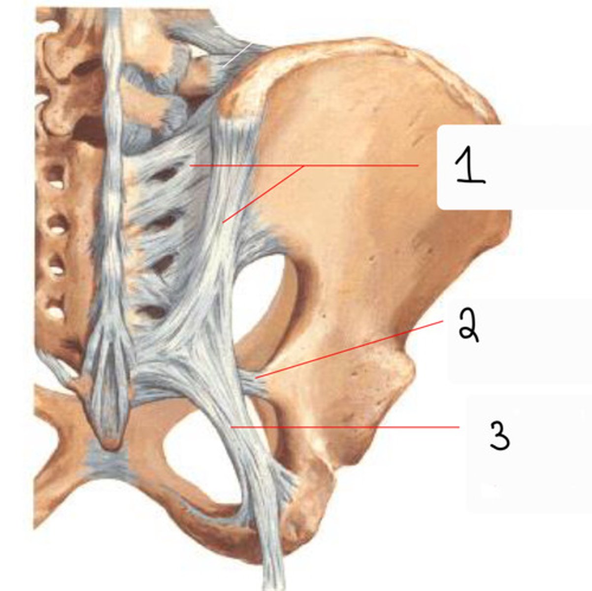 <p>What is 2?</p>