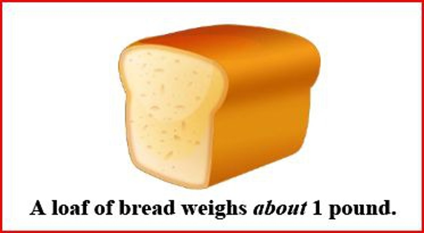 <p>A customary unit of weight equal to 16 ounces.</p>