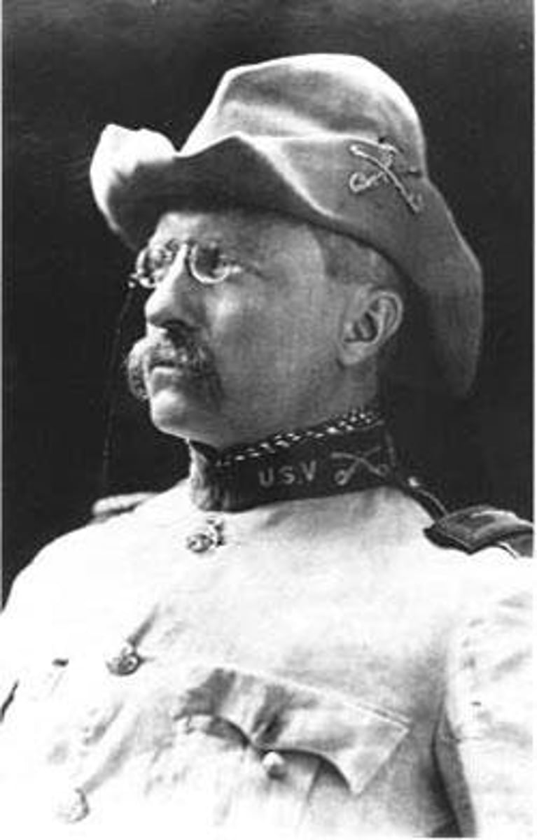 <p>26th president, known for: conservationism, trust-busting, safe food regulations, "Square Deal," Panama Canal</p>