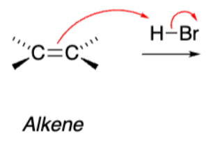 <p>H-Br as electrophile</p>