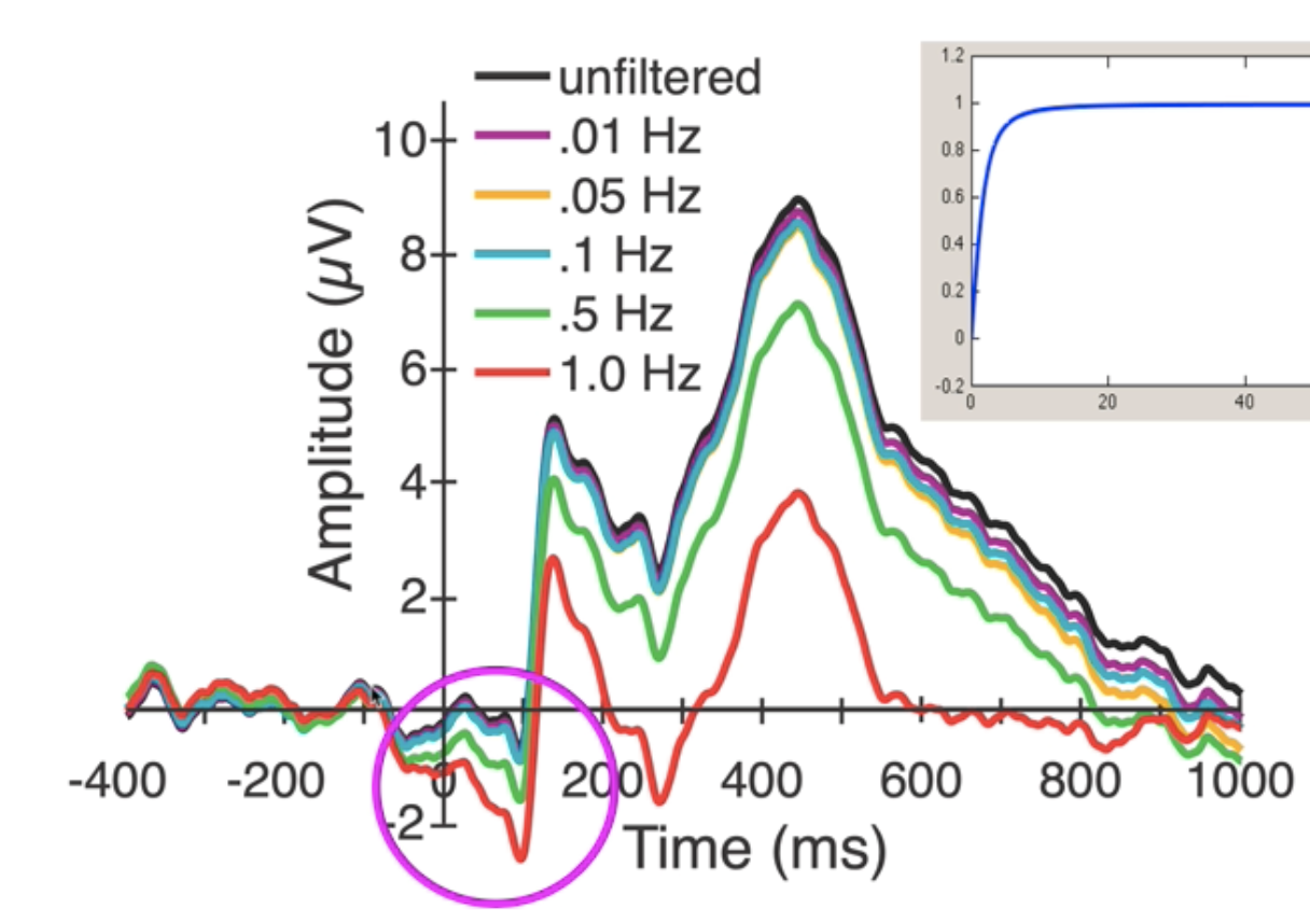 <p>explain what filter is used and why filtering is bad in this image </p>