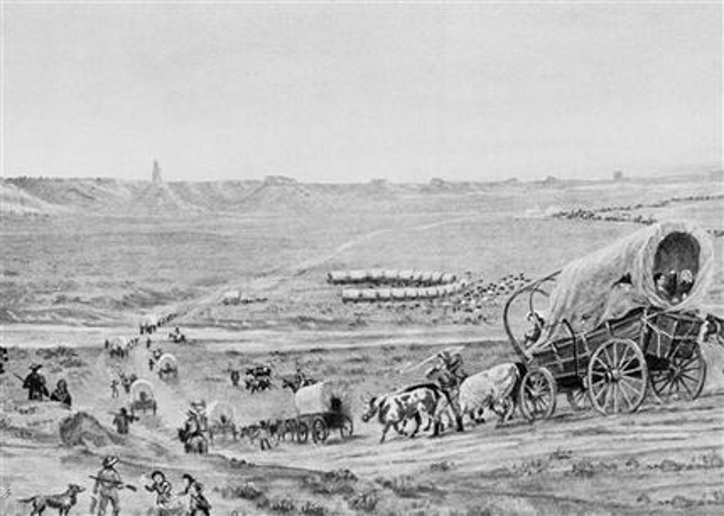 <p>a wilderness at the edge of a settled area of a country</p>