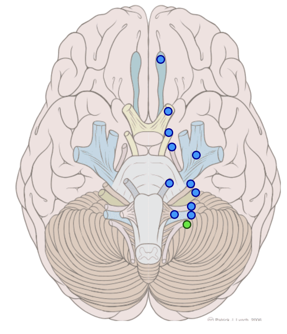 knowt flashcard image