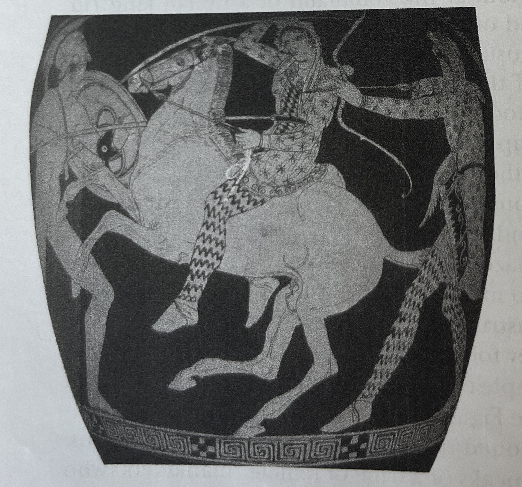 term image