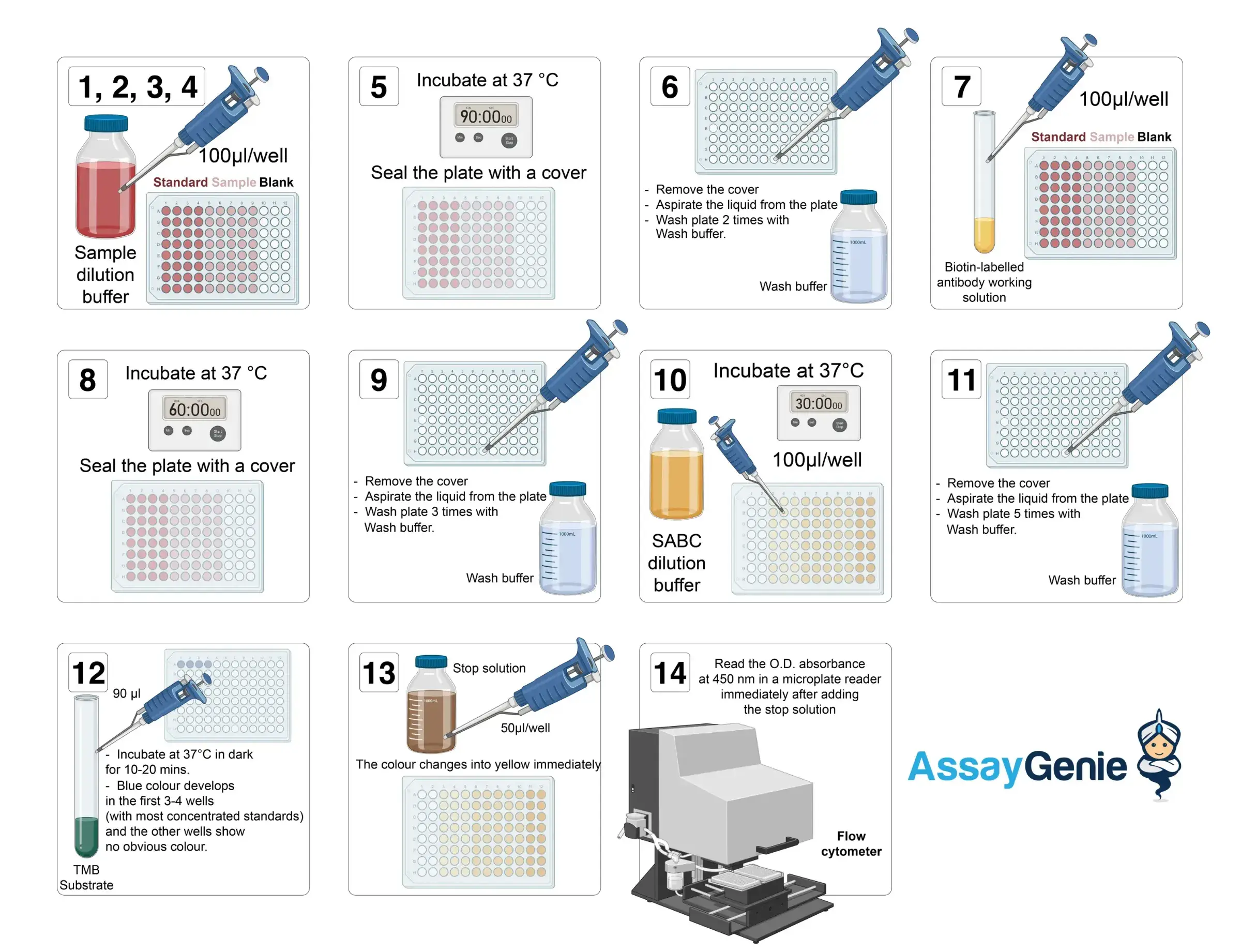 <p>A. 2 → 5 → 6 → 4 → 1 → 3</p><p>TT Sinh lý PNT, 124</p>