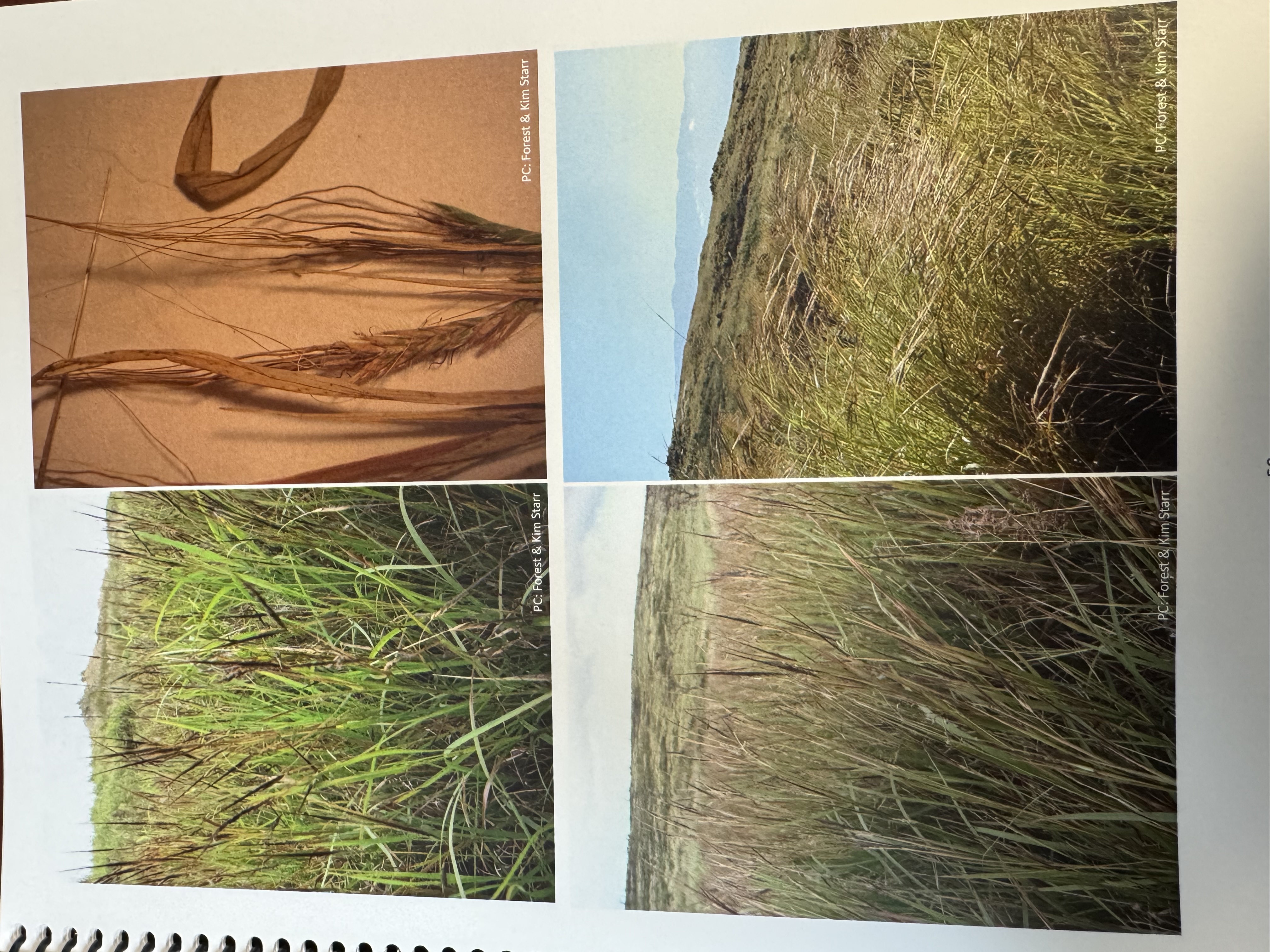 <img src="blob:null/cdb537e2-e15e-4b7b-9057-49881c3b0979"><p></p>