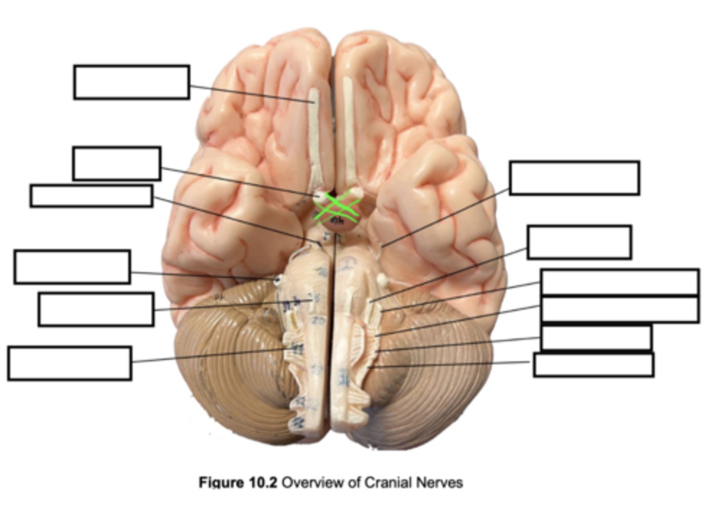 knowt flashcard image