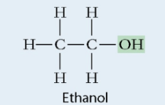 <ul><li><p>Found in all macromolecules</p></li><li><p>Hydroxide</p></li><li><p>Polar</p></li></ul>