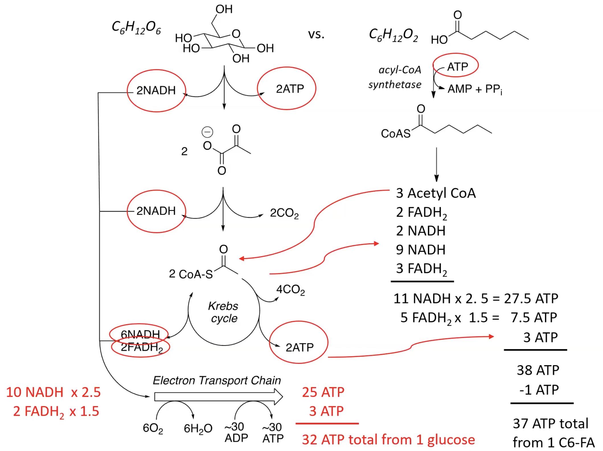 <p>Sample Problem Solved</p>