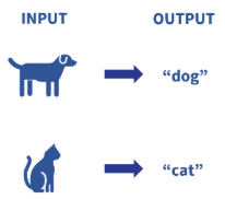 <ul><li><p><span style="background-color: transparent;">Labeled data</span></p><ul><li><p><span style="background-color: transparent;">Input-output pairs where label is the output</span></p></li></ul></li><li><p><span style="background-color: transparent;">Agent is taught by <strong><mark data-color="#7bffb9" style="background-color: rgb(123, 255, 185); color: inherit;">examples of labeled data</mark></strong></span></p></li></ul><p></p>