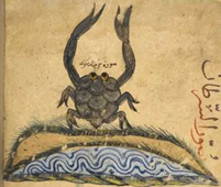 <p>Described many marine forms</p>