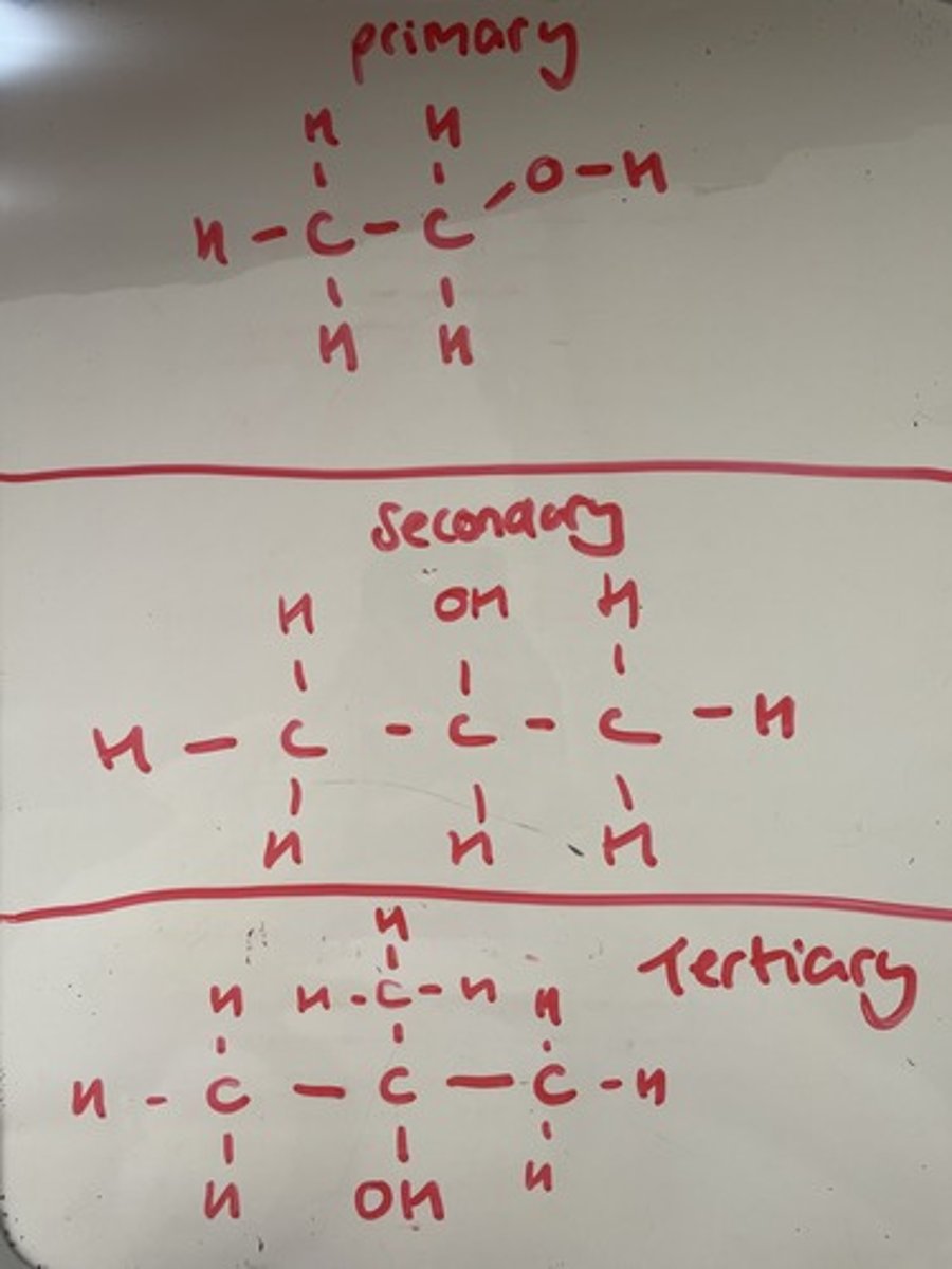 <p>Primary - one carbon attached</p><p>Secondary - two carbons attached</p><p>Tertiary - three carbons attached</p>