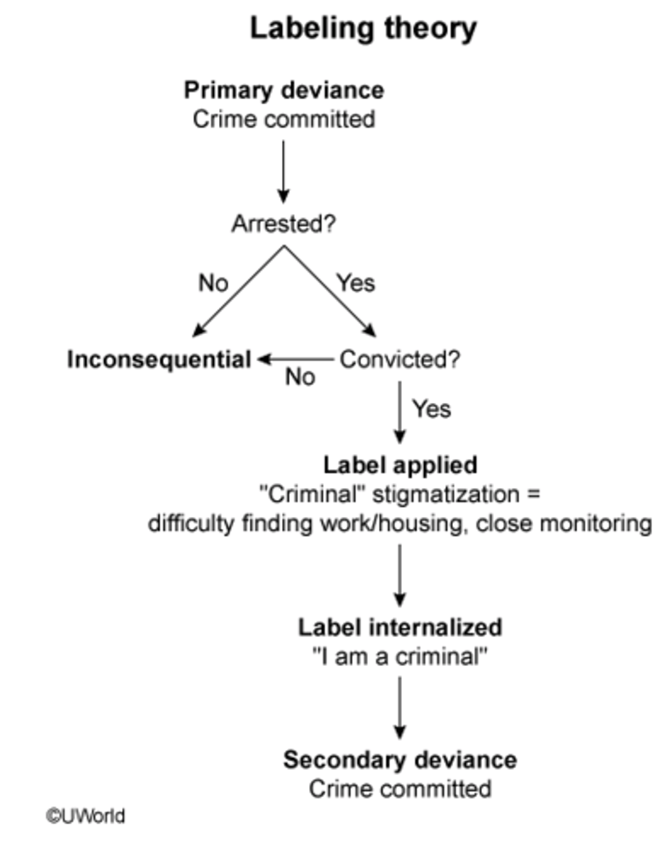 <p>Labeling theory suggests that when someone is labeled as deviant, the act of being labeled produces further deviance. <br><br>Initial act: primary deviance<br>internalization of deviant label occurs<br>second act: secondary deviance</p>