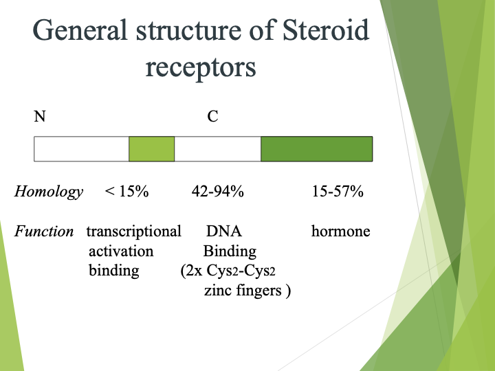 <p>high homology between family members </p><p>not much specificity </p><p>doesn’t allow for adjustment </p>