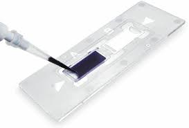 <p>Cell Counter Slide</p>