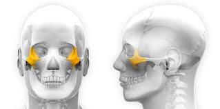 <p>A projection towards the temporal bone that fuses with the zygomatic process</p>