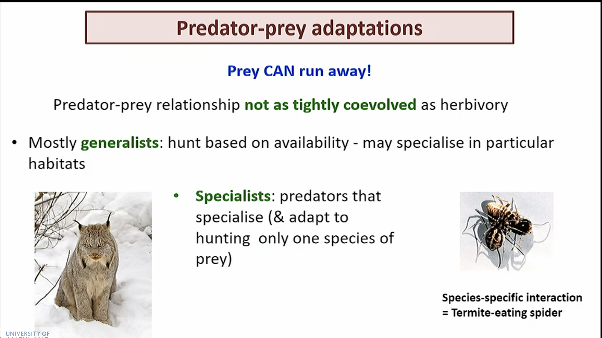 <p>Prey can run away while plants can’t. </p>