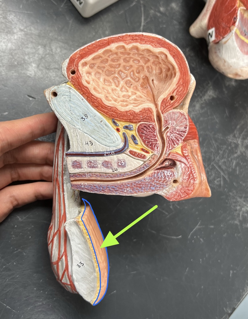 what is this?